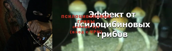 спиды Магас