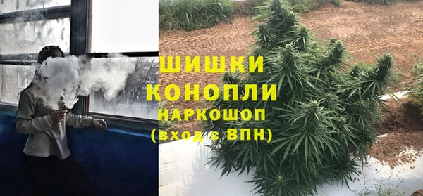 ешки Алзамай