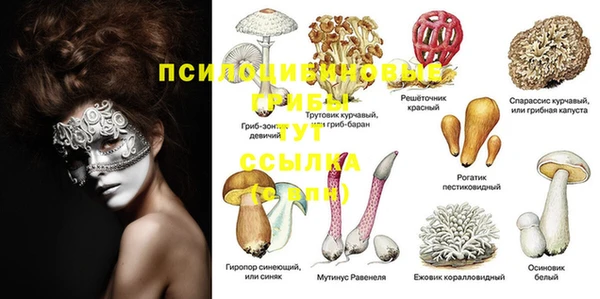 синтетический гашиш Алексин