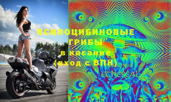 синтетический гашиш Алексин