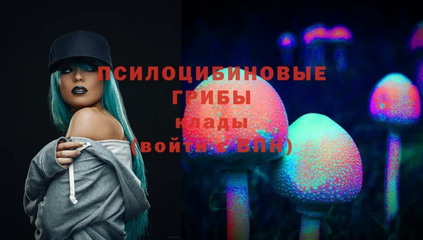 синтетический гашиш Алексин