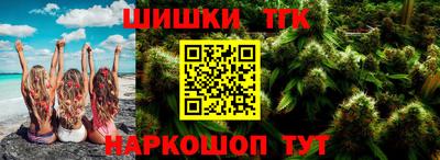индика Ставрополь