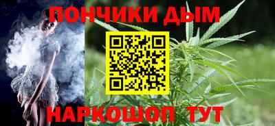 индика Ставрополь
