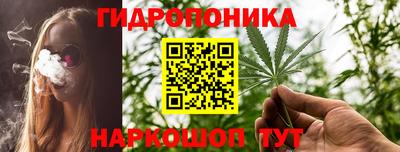 индика Ставрополь