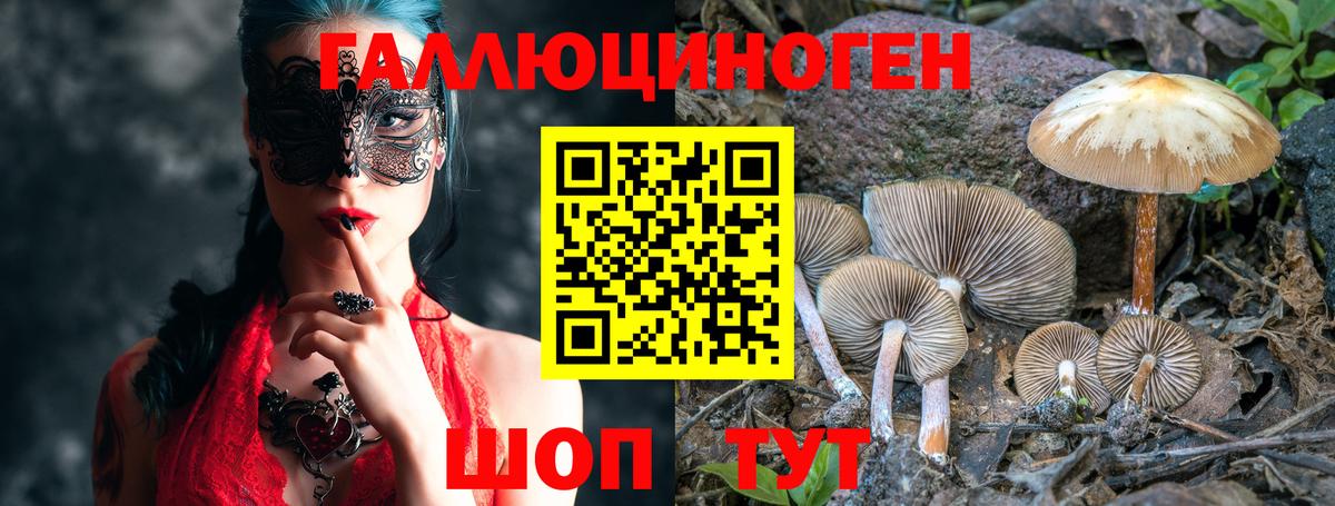 Галлюциногенные грибы мицелий Петрозаводск