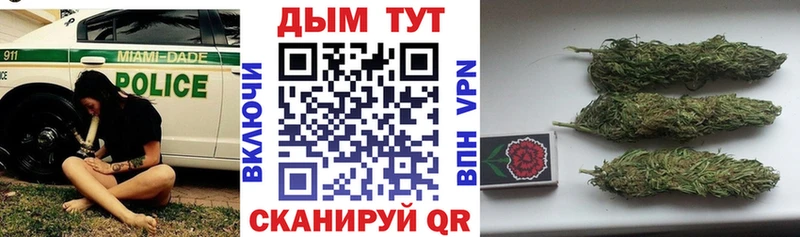 Конопля MAZAR Петрозаводск
