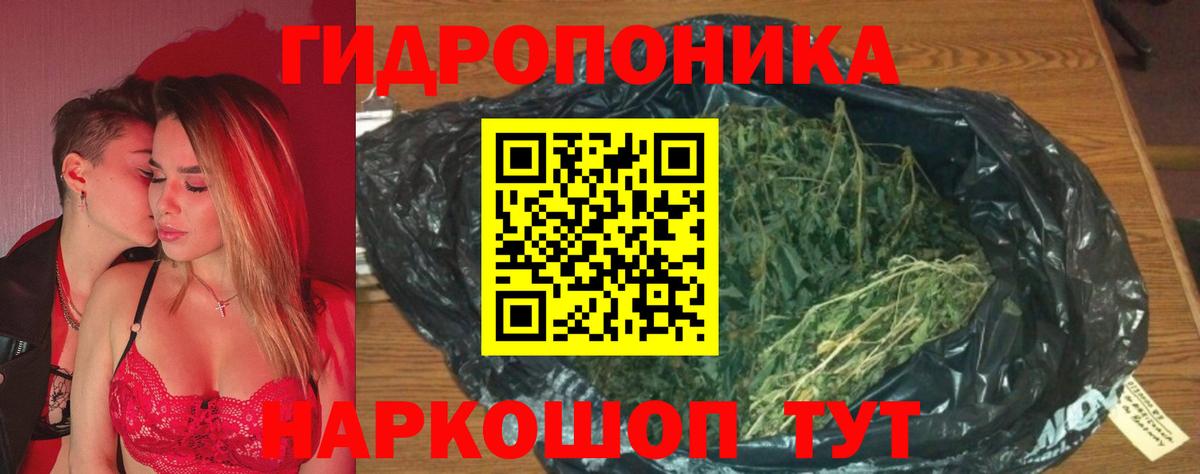 Бошки Шишки Ganja Петрозаводск